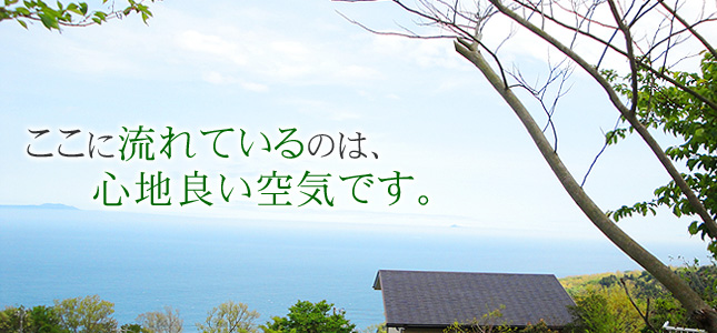 ここに流れているのは、心地良い空気です。