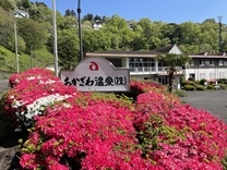 恒陽台の画像